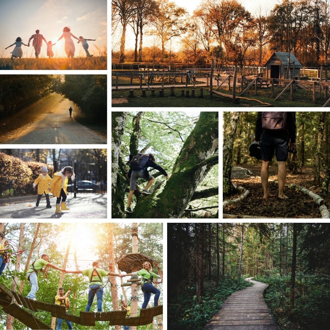 De leukste wandelingen met kinderen
