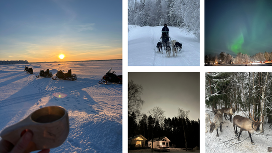 Lapland met tieners: De complete gids voor een gezinsreis naar Luleå, Zweeds Lapland