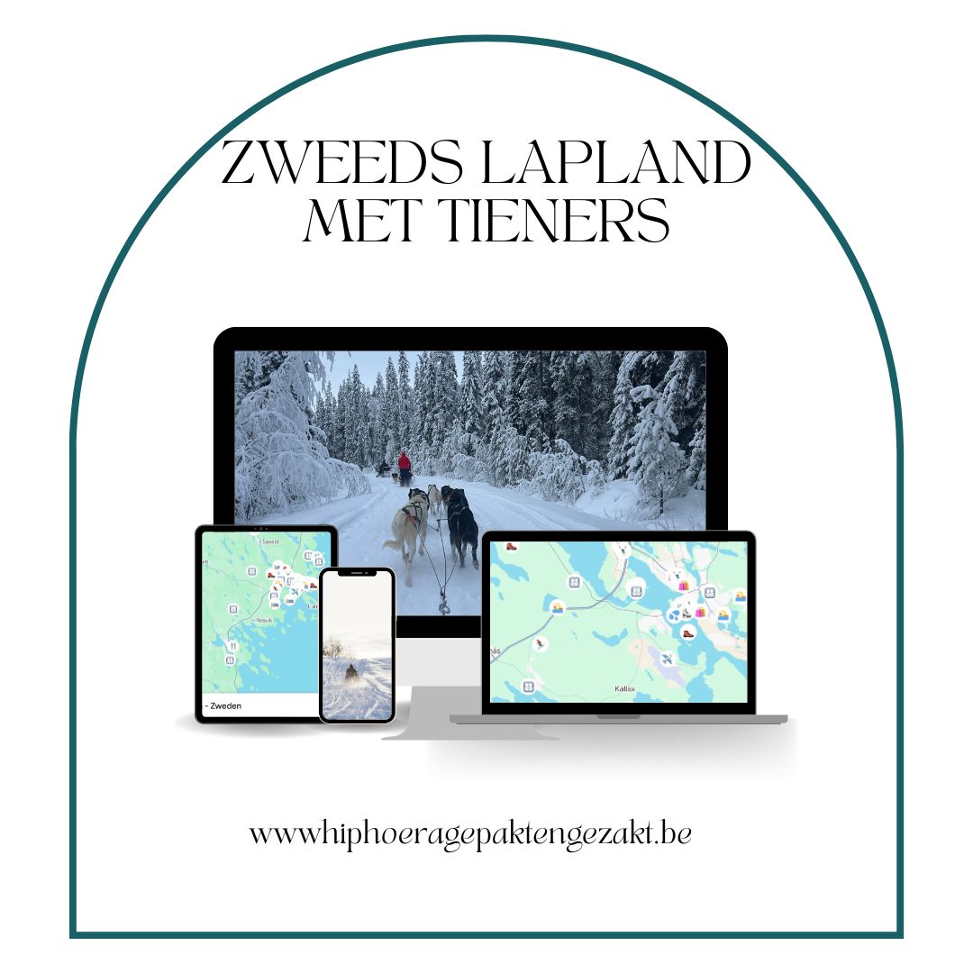 Google mapkaart, Zweden. Sneeuwlandschap in Zweeds Lapland tijdens de winter, ideaal voor een actief noorderlichtavontuur met tieners